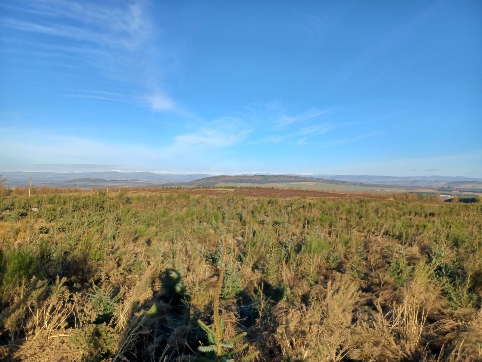 Panoramic views across the estate