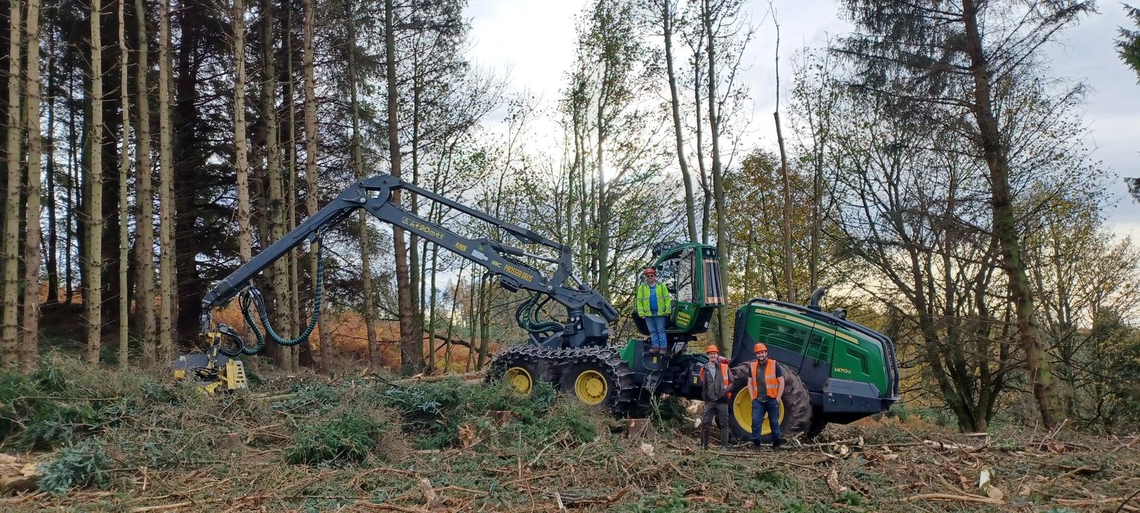 Forest clearing with views